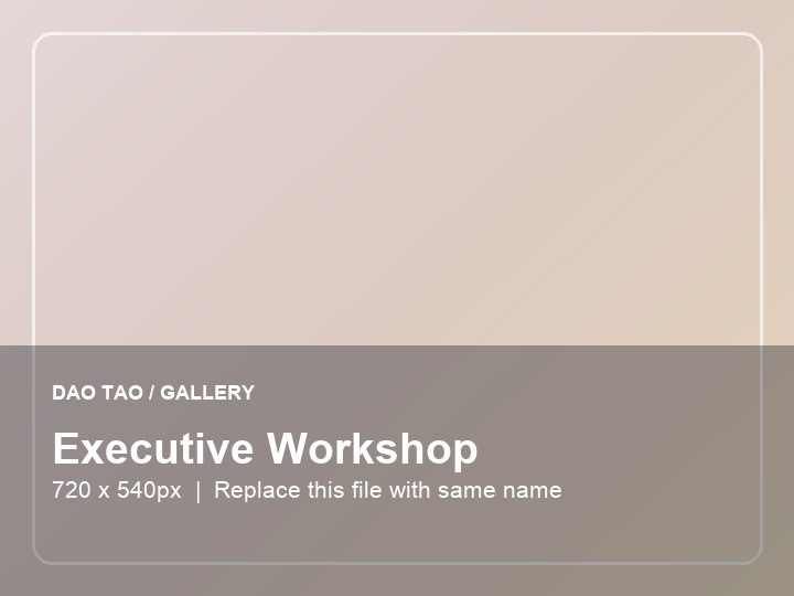 Executive workshop